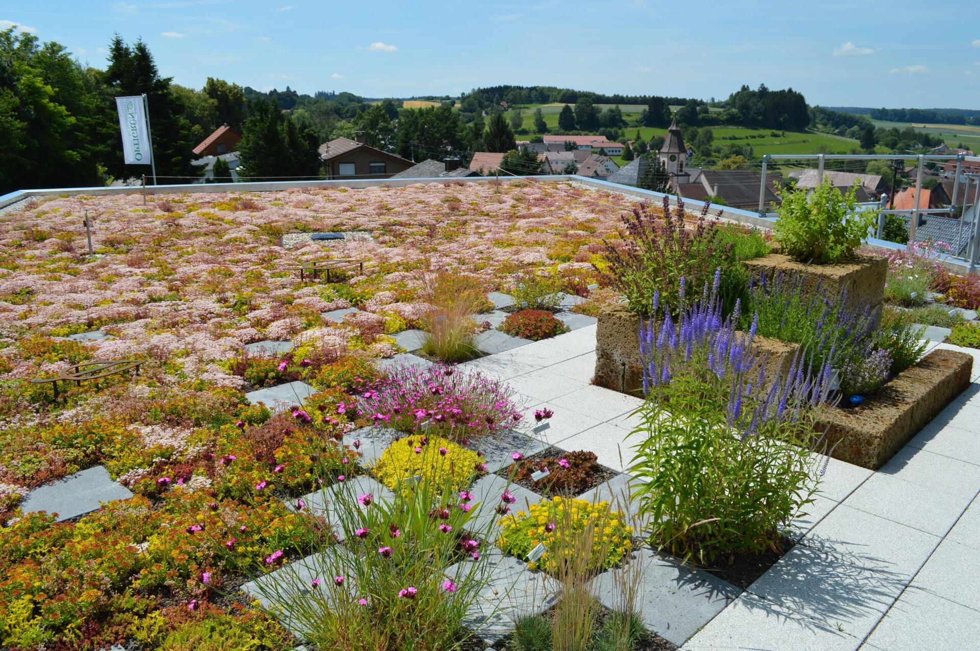 Hardscaping & Water Features: NextVisionLab's Structural & Serene Creations